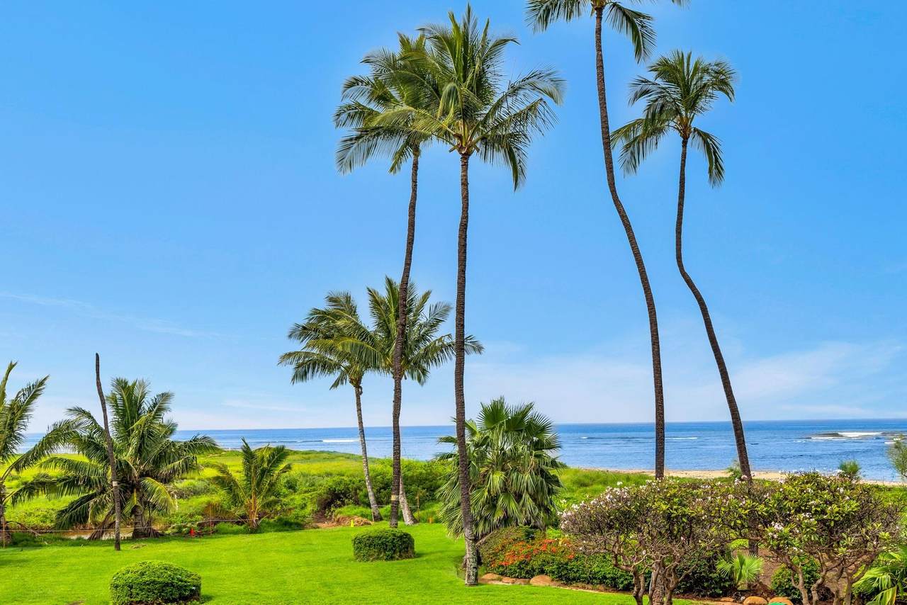 800 Kihei Rd - Photo 1