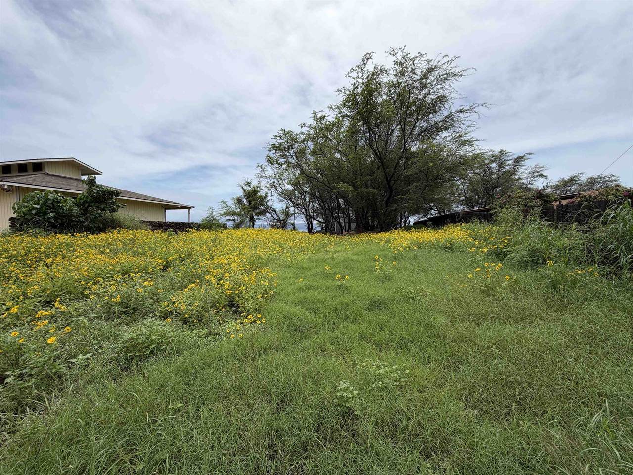 https://bt-photos.global.ssl.fastly.net/maui/1280_boomver_1_409322-2.jpg