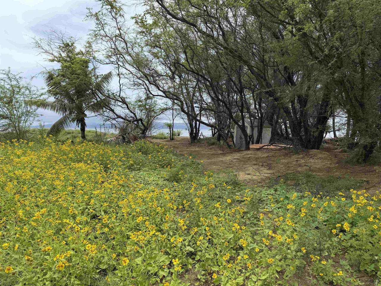 https://bt-photos.global.ssl.fastly.net/maui/1280_boomver_1_409322-2.jpg