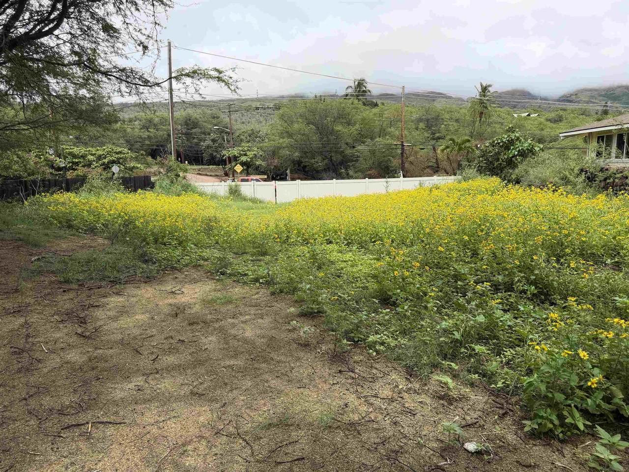 https://bt-photos.global.ssl.fastly.net/maui/1280_boomver_1_409322-2.jpg