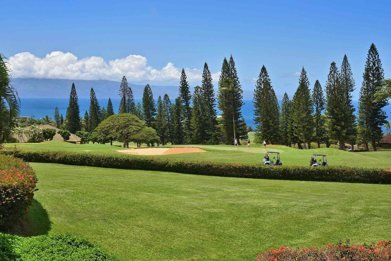 50 Puu Anoano St - Photo 1