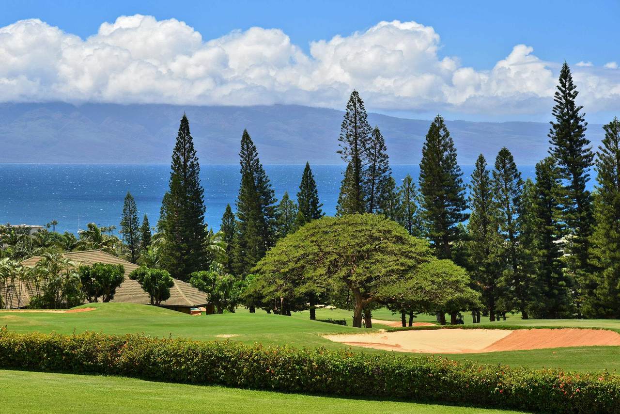 https://bt-photos.global.ssl.fastly.net/maui/1280_boomver_1_409327-2.jpg