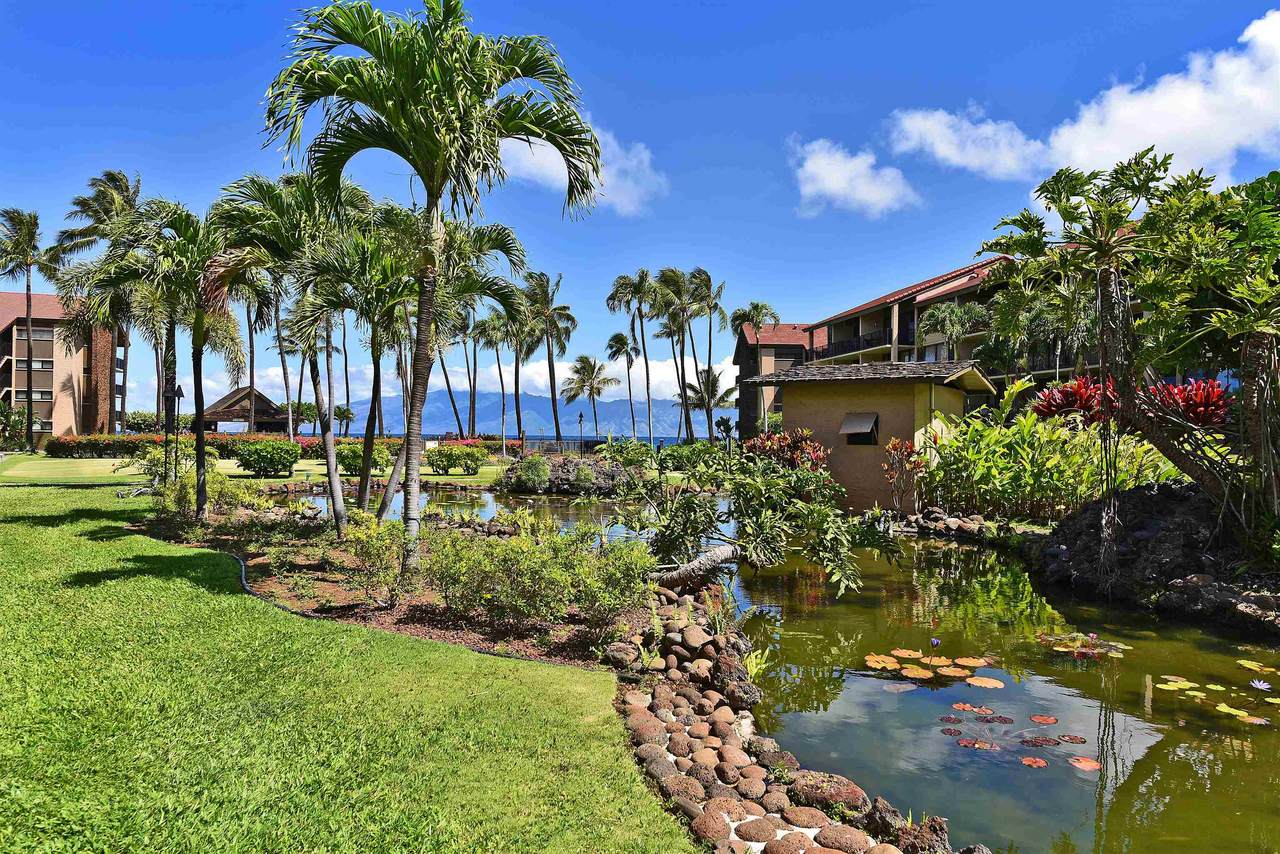 3543 Lower Honoapiilani Rd - Photo 1