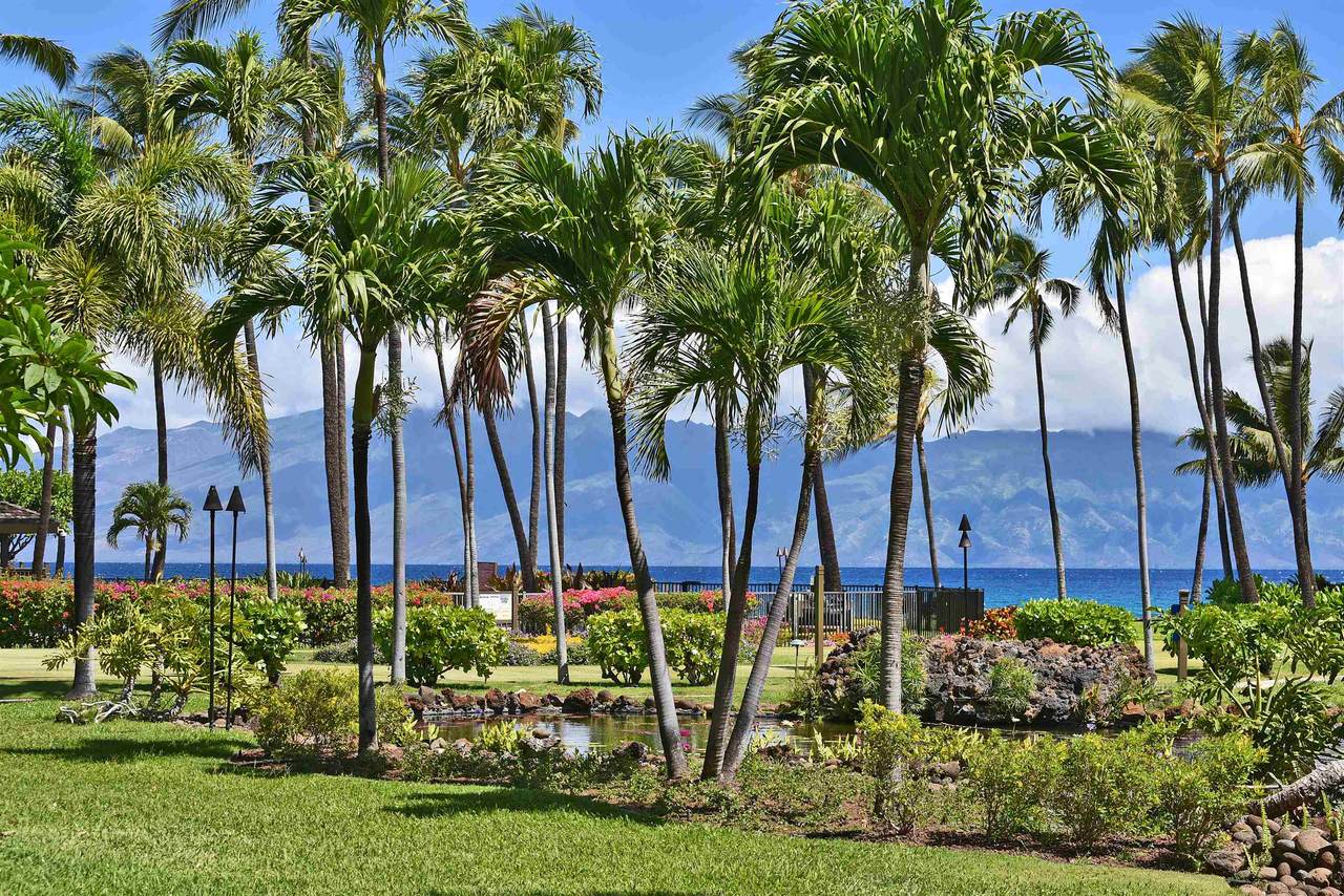 https://bt-photos.global.ssl.fastly.net/maui/1280_boomver_1_409328-2.jpg