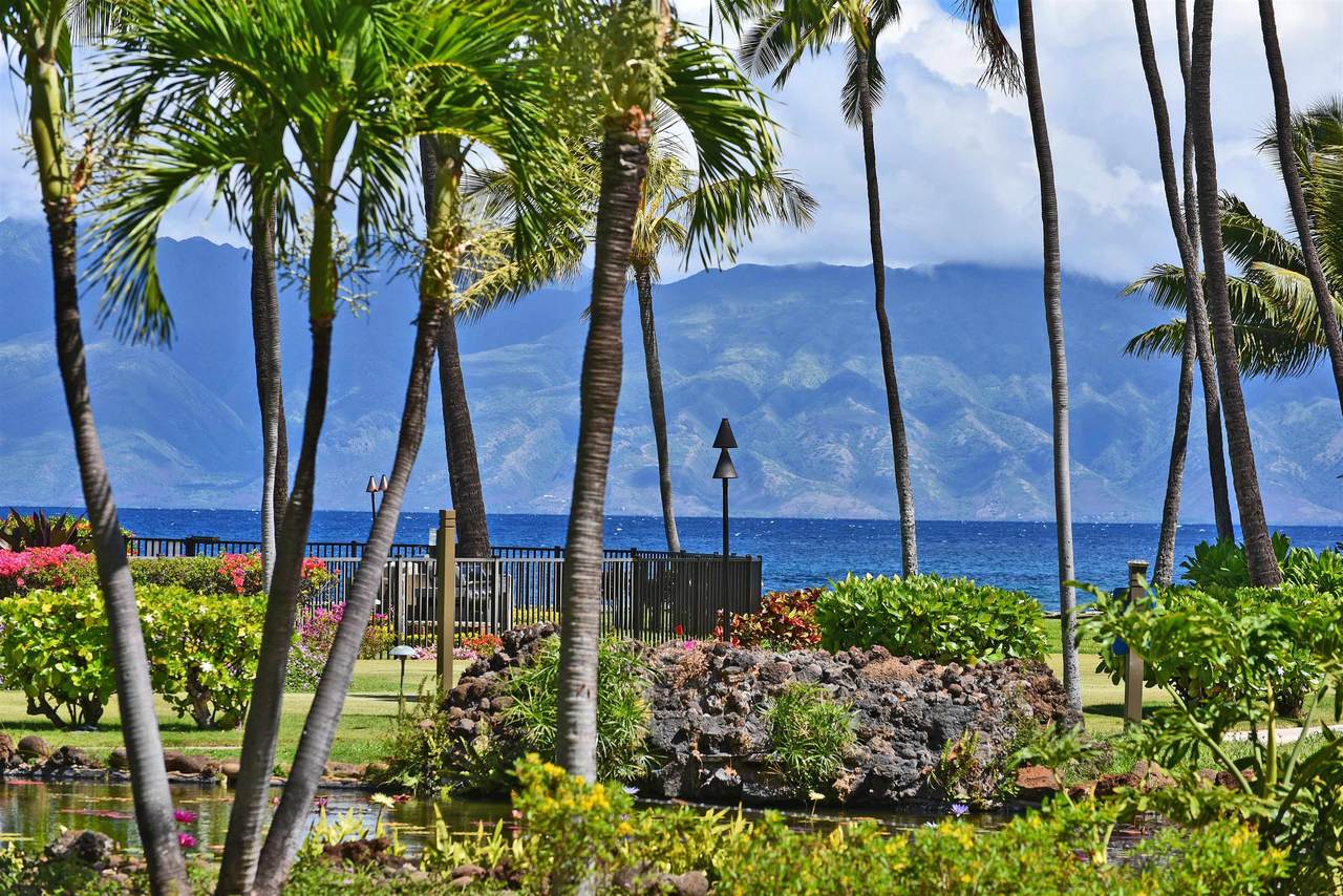 https://bt-photos.global.ssl.fastly.net/maui/1280_boomver_1_409328-2.jpg