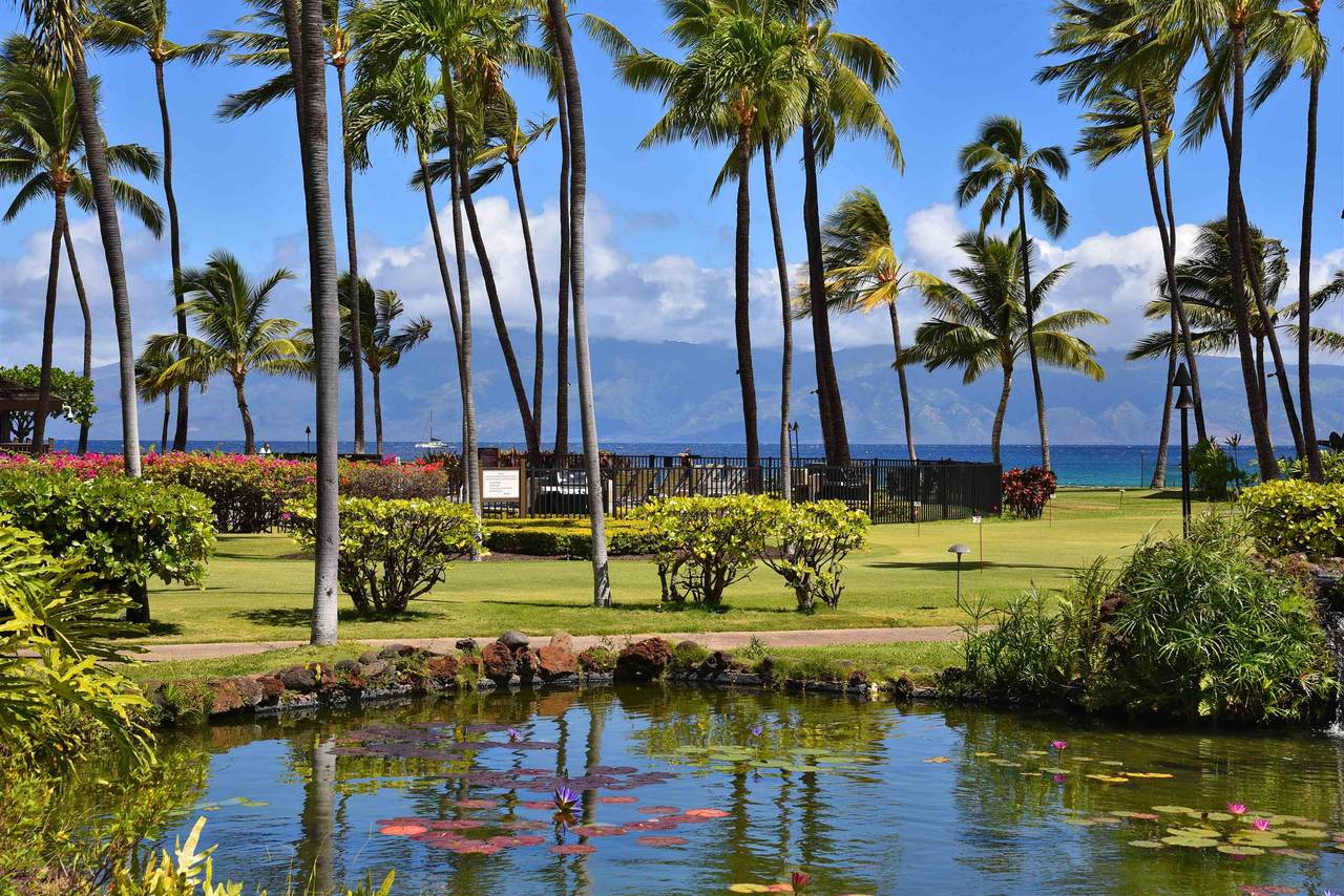 https://bt-photos.global.ssl.fastly.net/maui/1280_boomver_1_409328-2.jpg