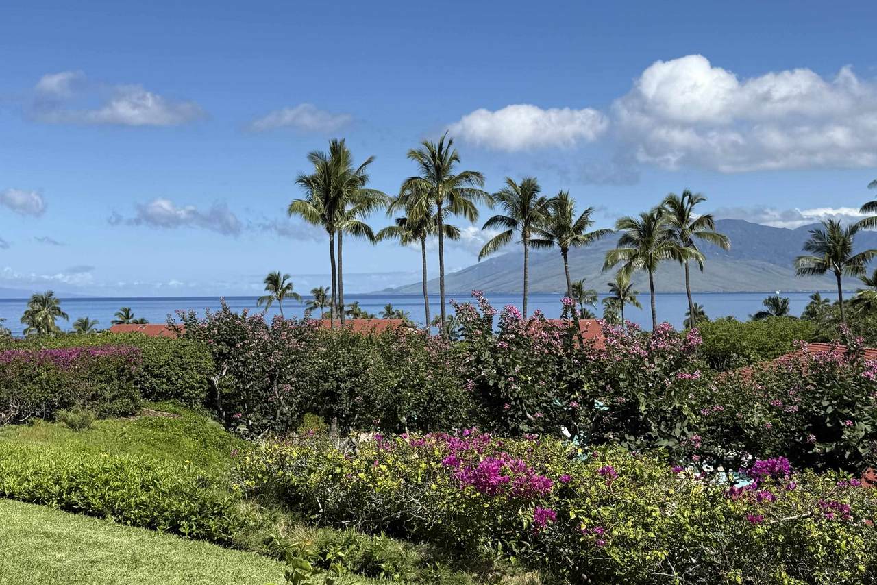 4000 Wailea Alanui Dr - Photo 1