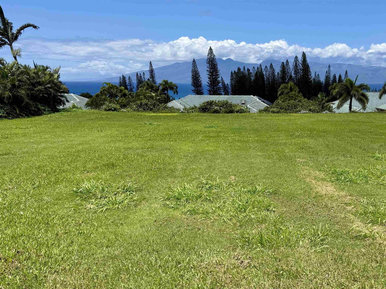 https://bt-photos.global.ssl.fastly.net/maui/1280_boomver_1_409396-2.jpg