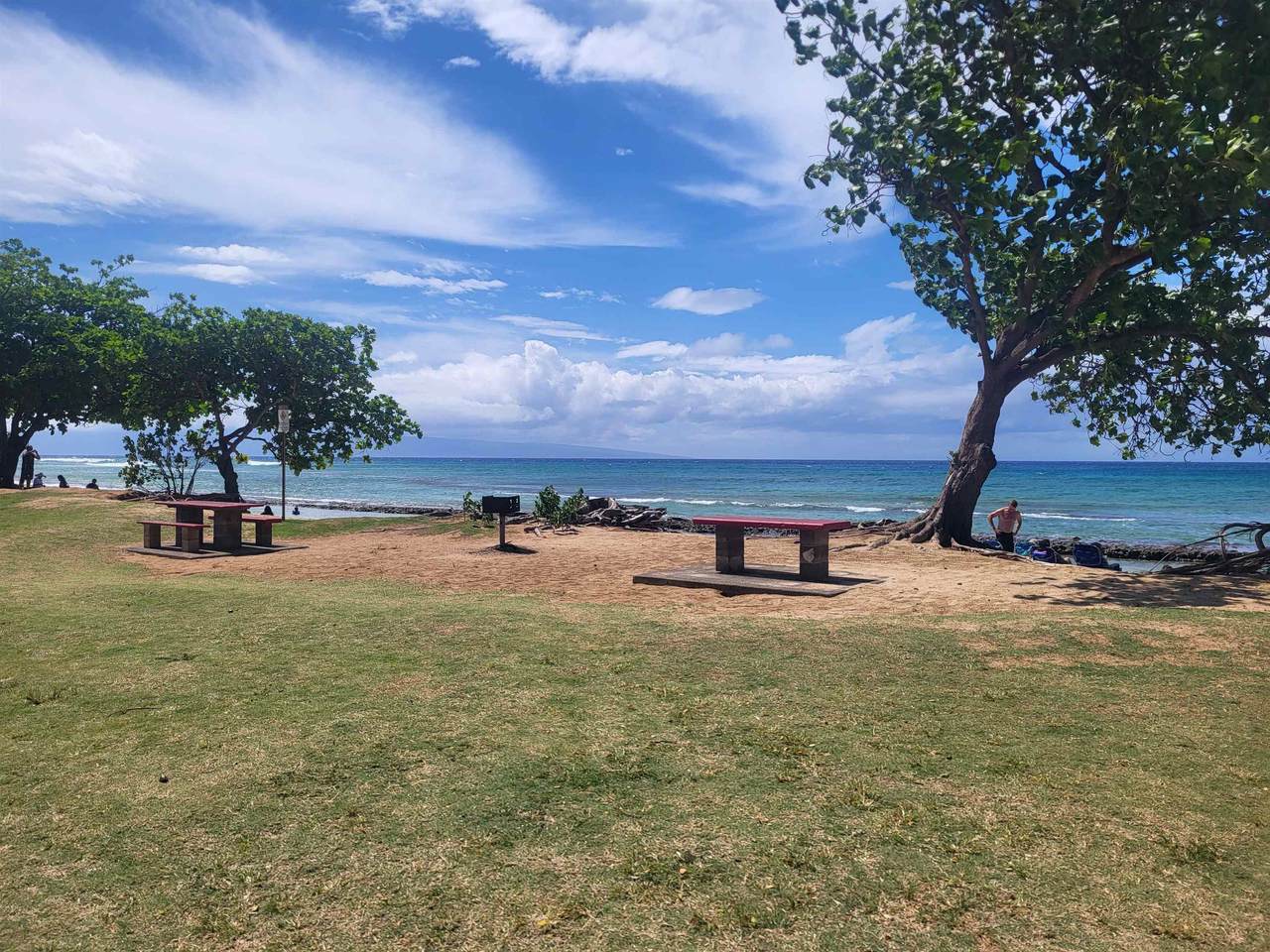 3666 Lower Honoapiilani Rd - Photo 1