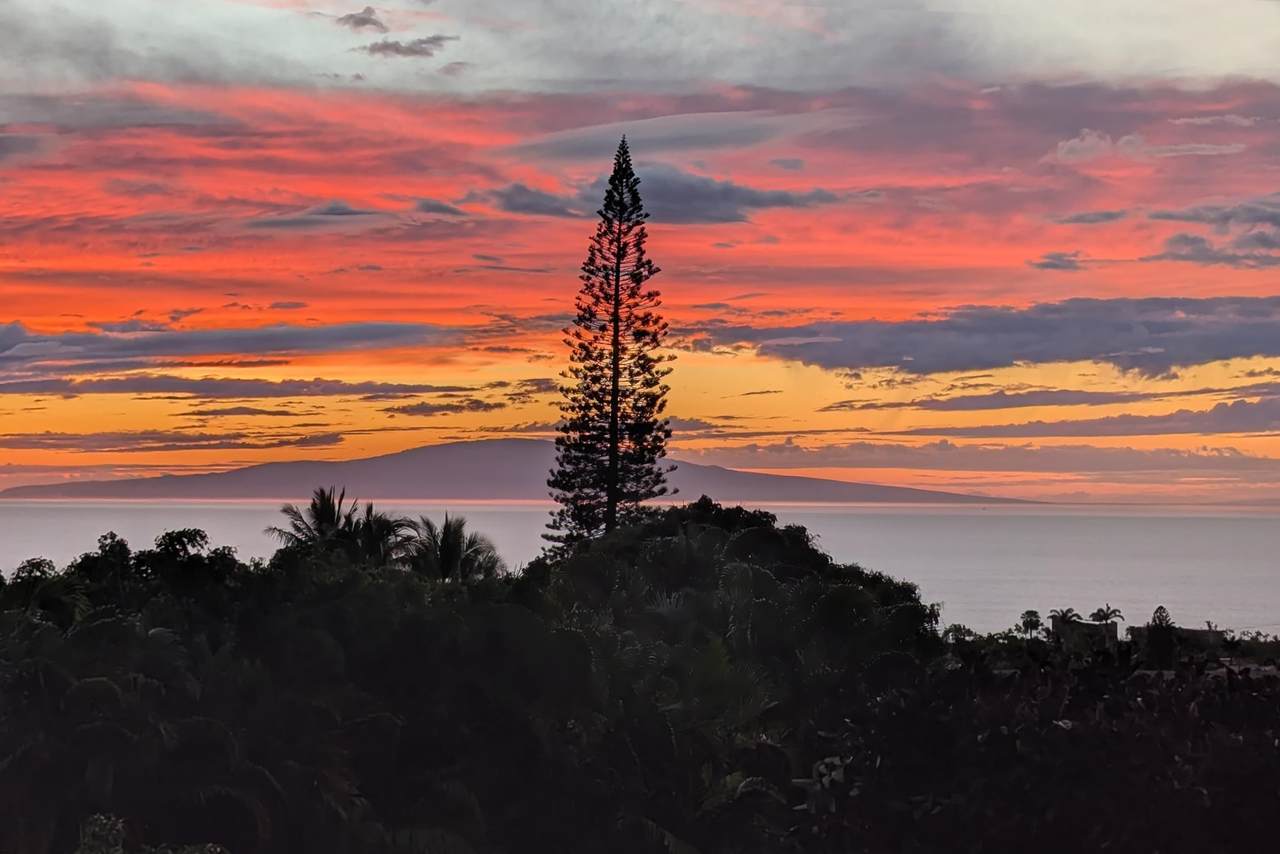 https://bt-photos.global.ssl.fastly.net/maui/1280_boomver_1_409471-2.jpg