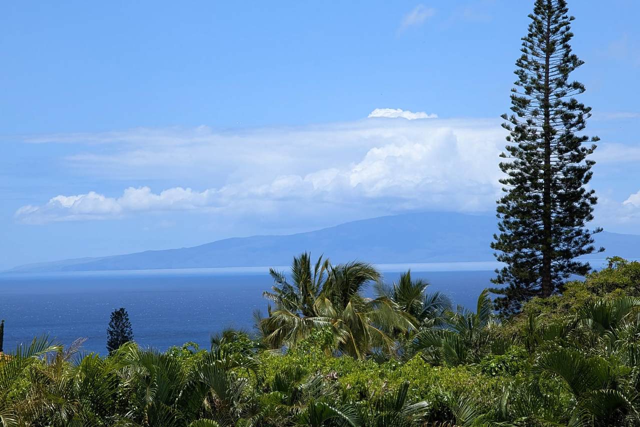 https://bt-photos.global.ssl.fastly.net/maui/1280_boomver_1_409471-2.jpg