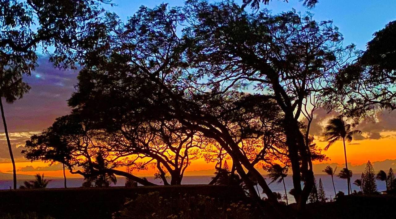 https://bt-photos.global.ssl.fastly.net/maui/1280_boomver_1_409493-2.jpg