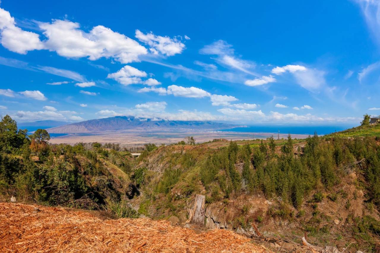0 Haleakala Hwy - Photo 1