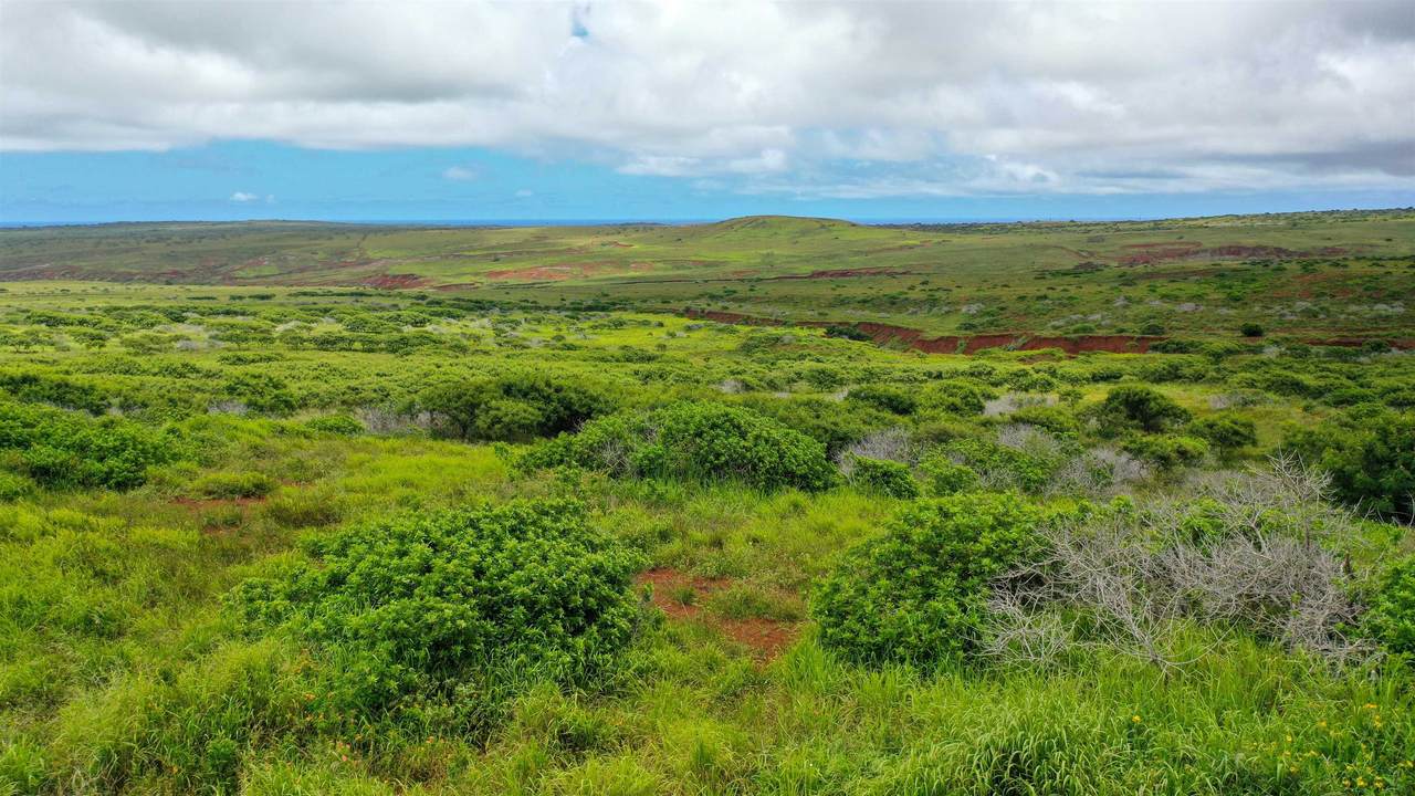 0 Kalua Koi Rd - Photo 1