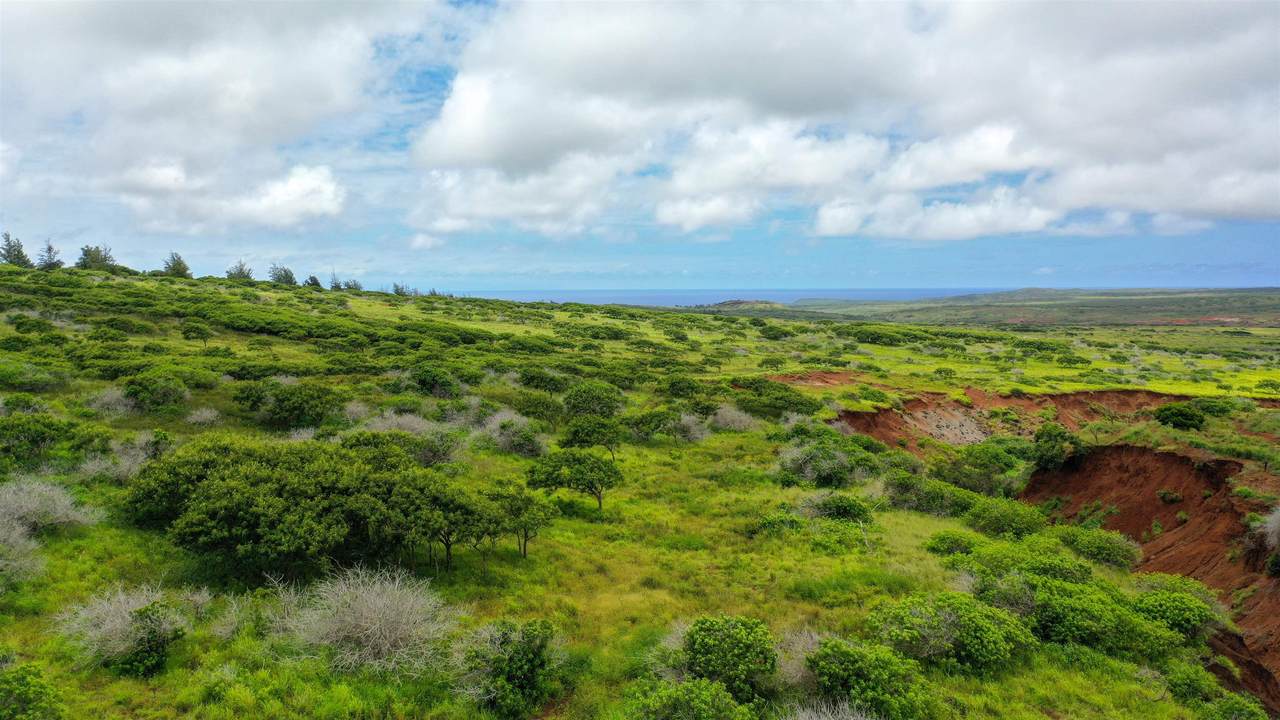 https://bt-photos.global.ssl.fastly.net/maui/1280_boomver_1_409545-2.jpg