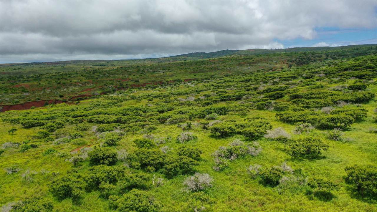 https://bt-photos.global.ssl.fastly.net/maui/1280_boomver_1_409545-2.jpg