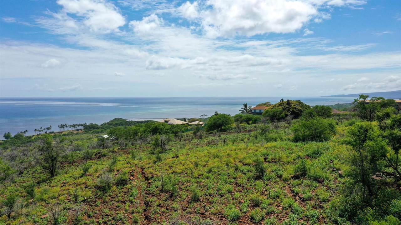 https://bt-photos.global.ssl.fastly.net/maui/1280_boomver_1_409557-2.jpg