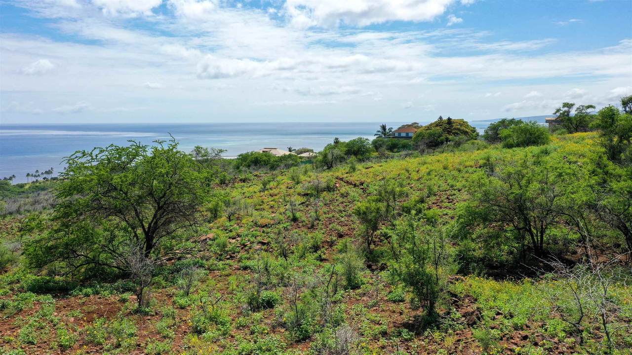 https://bt-photos.global.ssl.fastly.net/maui/1280_boomver_1_409557-2.jpg