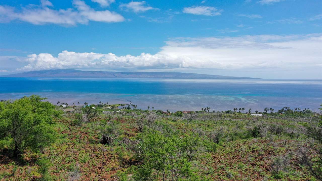 https://bt-photos.global.ssl.fastly.net/maui/1280_boomver_1_409557-2.jpg