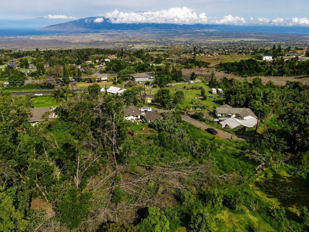 16255 Haleakala Hwy - Photo 1