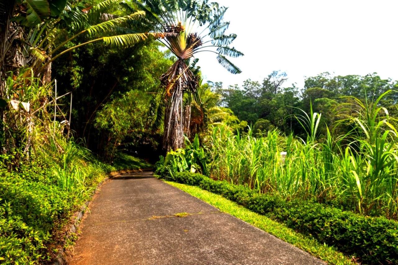 https://bt-photos.global.ssl.fastly.net/maui/1280_boomver_1_409579-2.jpg
