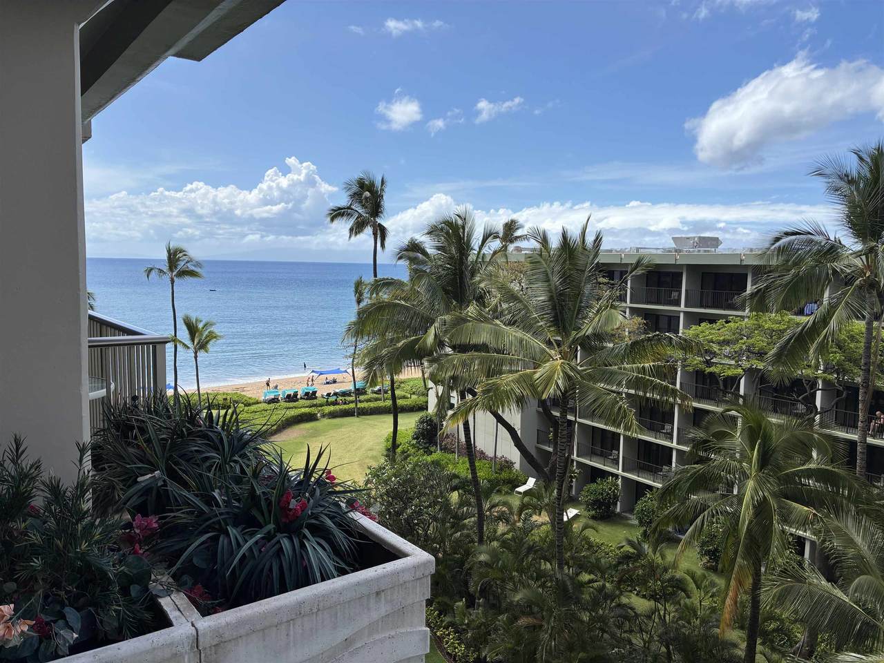 2481 Kaanapali Pkwy - Photo 1