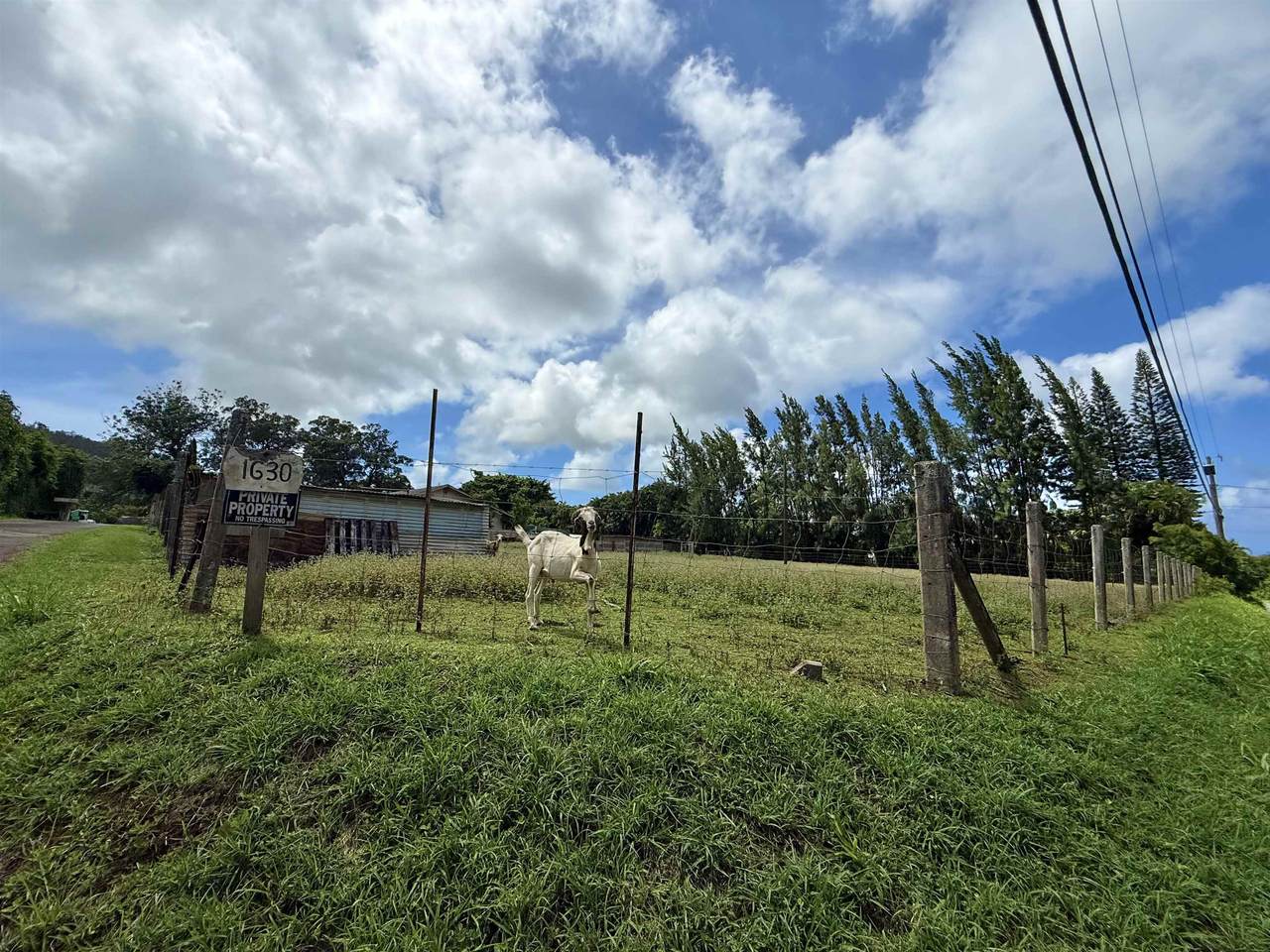 https://bt-photos.global.ssl.fastly.net/maui/1280_boomver_1_409671-2.jpg