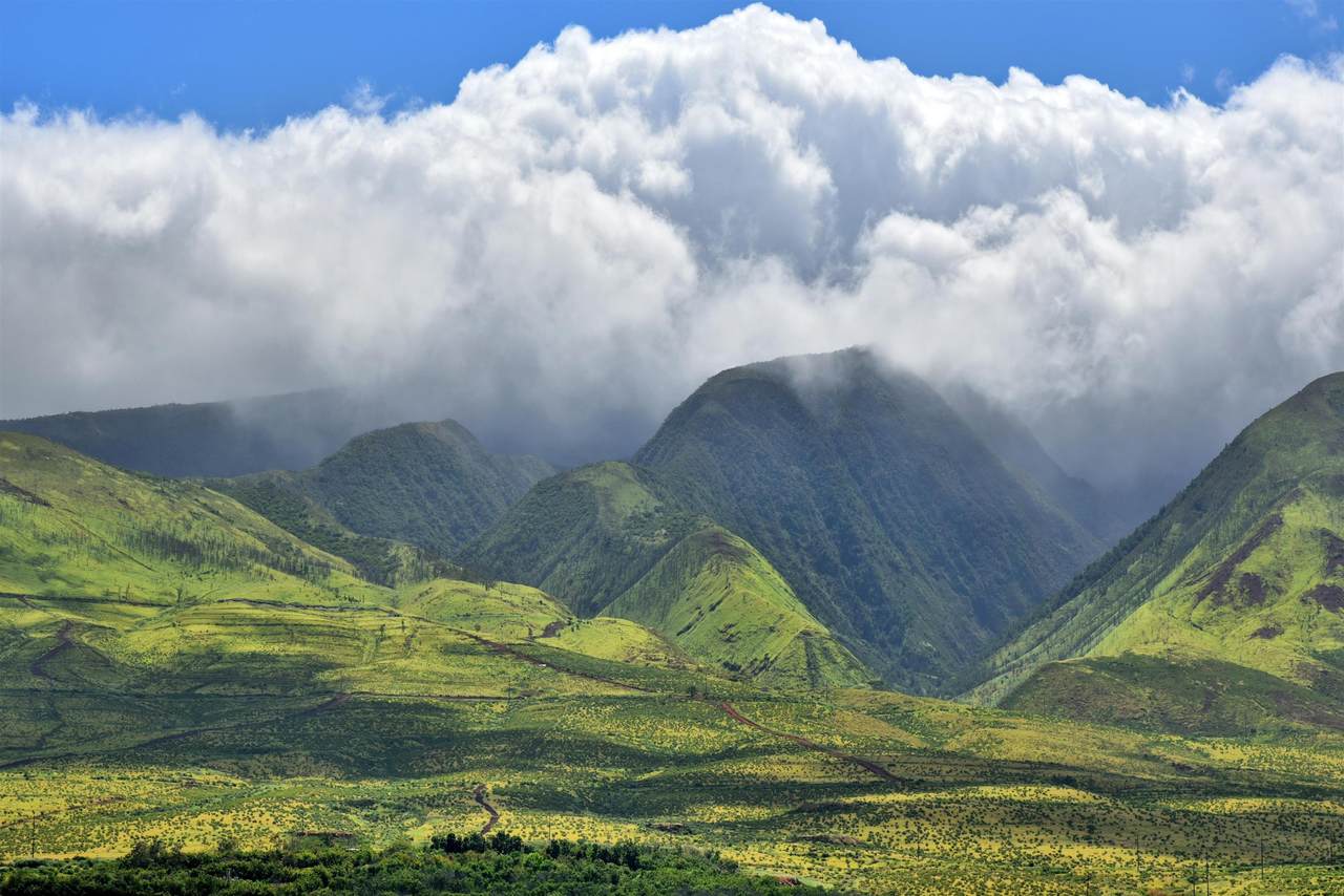 https://bt-photos.global.ssl.fastly.net/maui/1280_boomver_1_409678-2.jpg