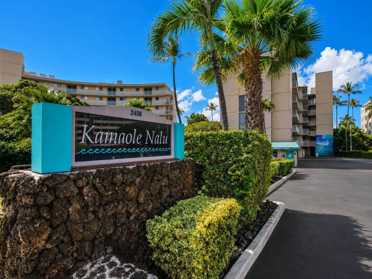 2450 Kihei Rd - Photo 1