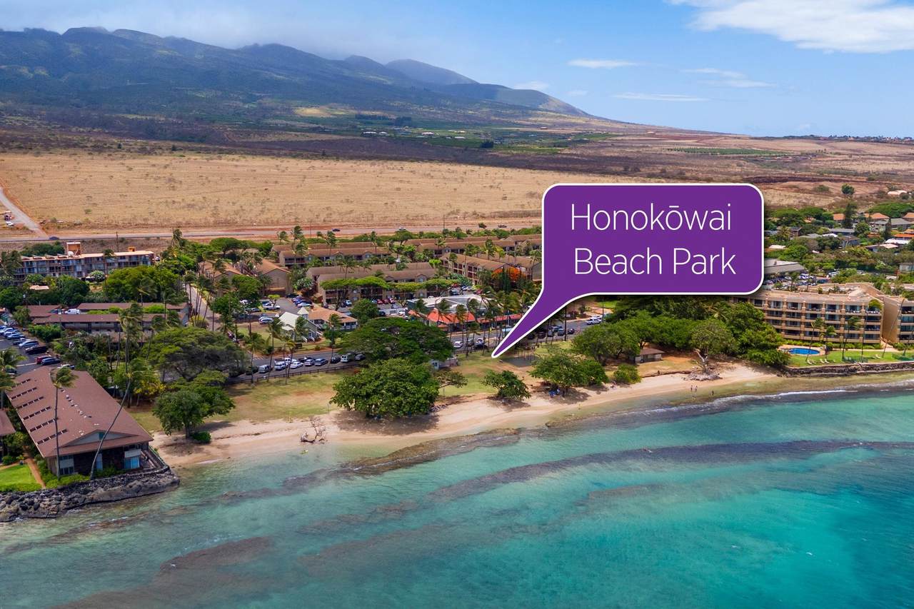 https://bt-photos.global.ssl.fastly.net/maui/1280_boomver_1_409686-2.jpg