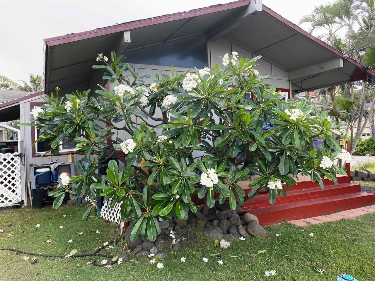 https://bt-photos.global.ssl.fastly.net/maui/1280_boomver_1_409727-2.jpg