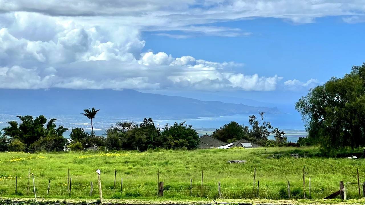 2732 Kula Hwy - Photo 1