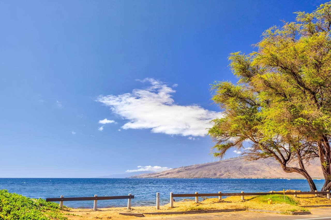 https://bt-photos.global.ssl.fastly.net/maui/1280_boomver_1_409749-2.jpg