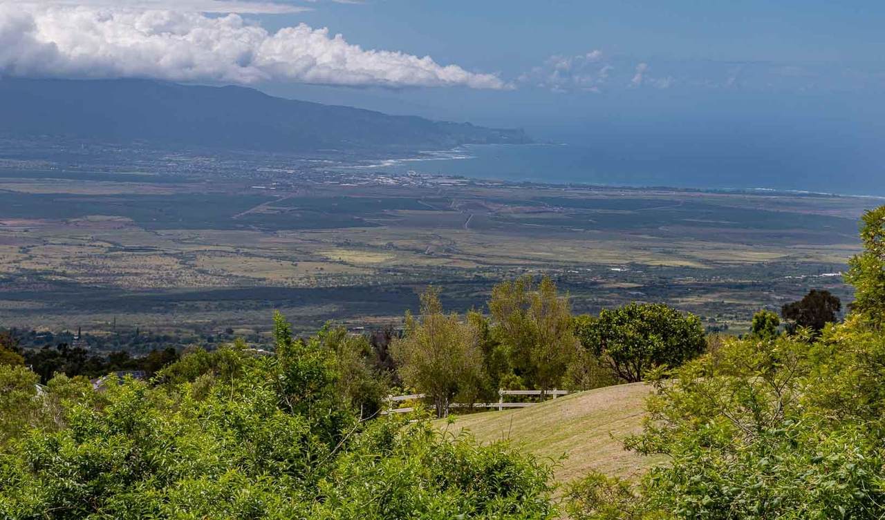 20 Kuulani Pl - Photo 1