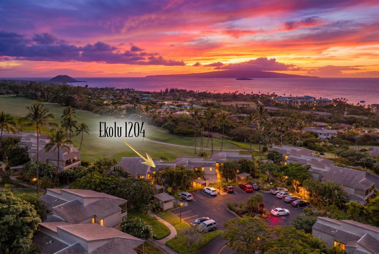 10 Wailea Ekolu Pl - Photo 1
