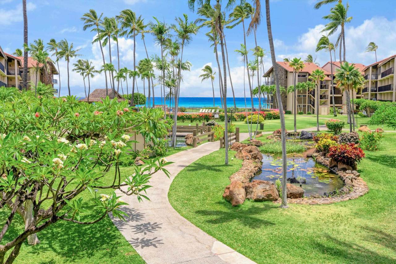 3543 Lower Honoapiilani Rd - Photo 1