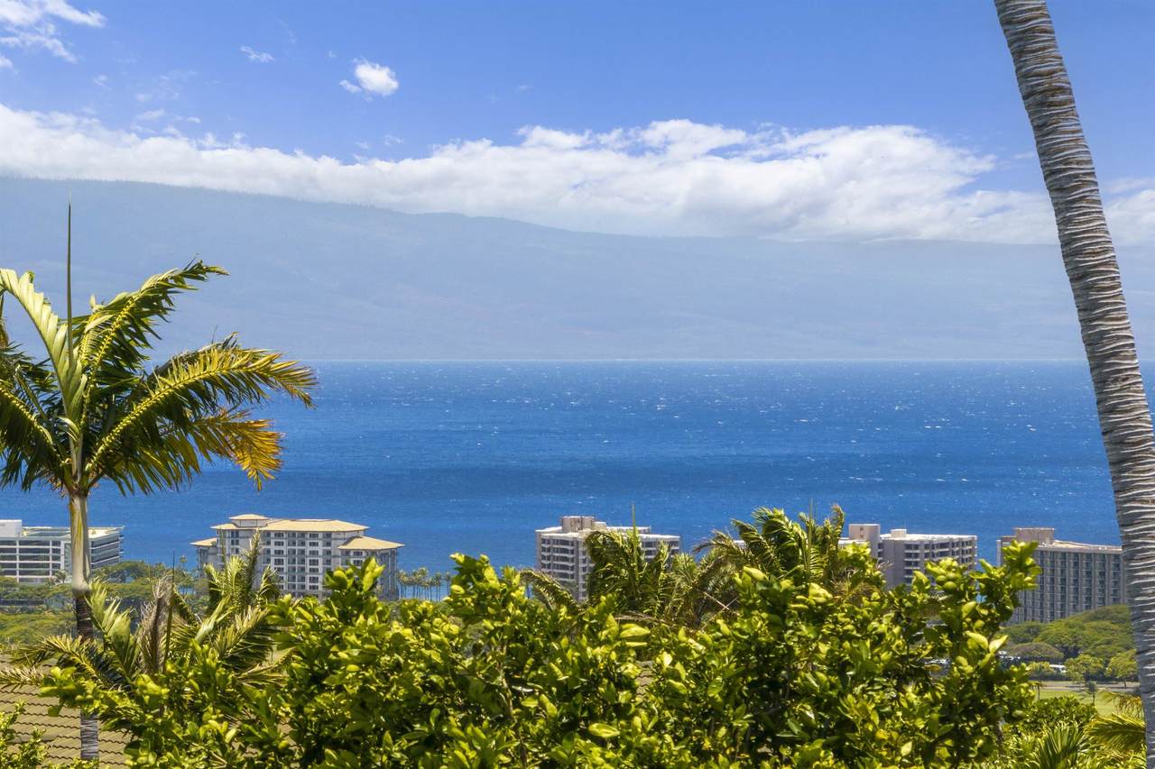 411 Wekiu Pl - Photo 1