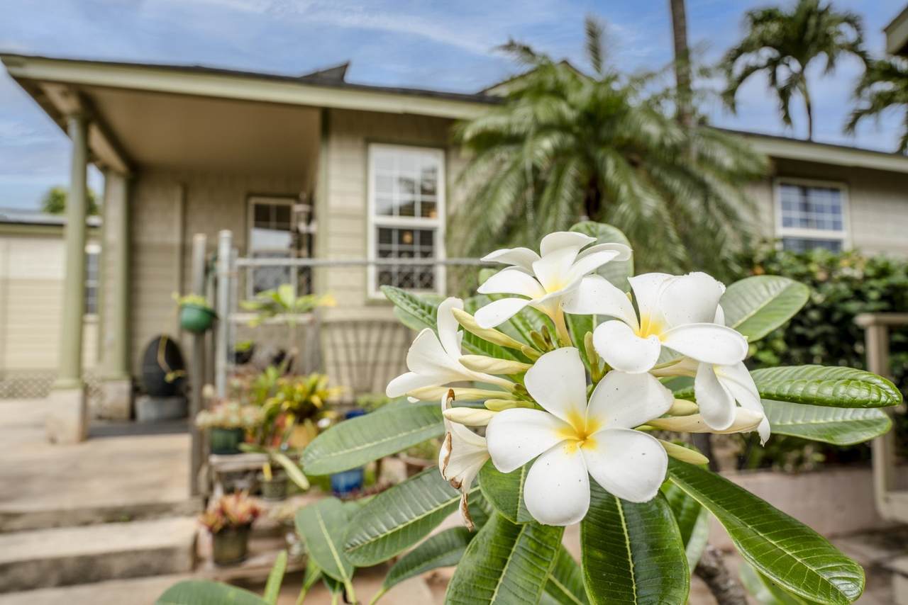 https://bt-photos.global.ssl.fastly.net/maui/1280_boomver_1_410037-2.jpg
