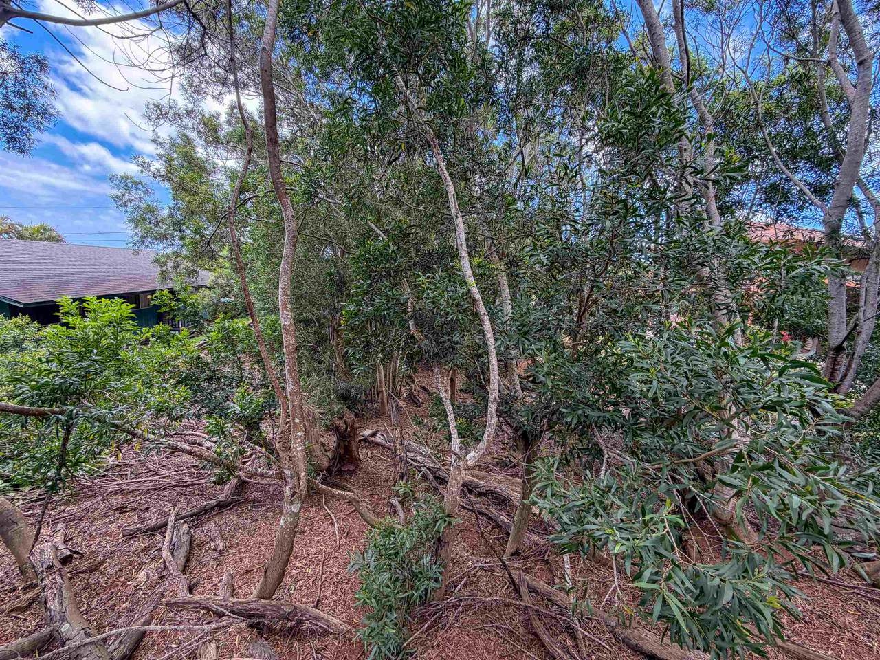 https://bt-photos.global.ssl.fastly.net/maui/1280_boomver_1_410073-2.jpg