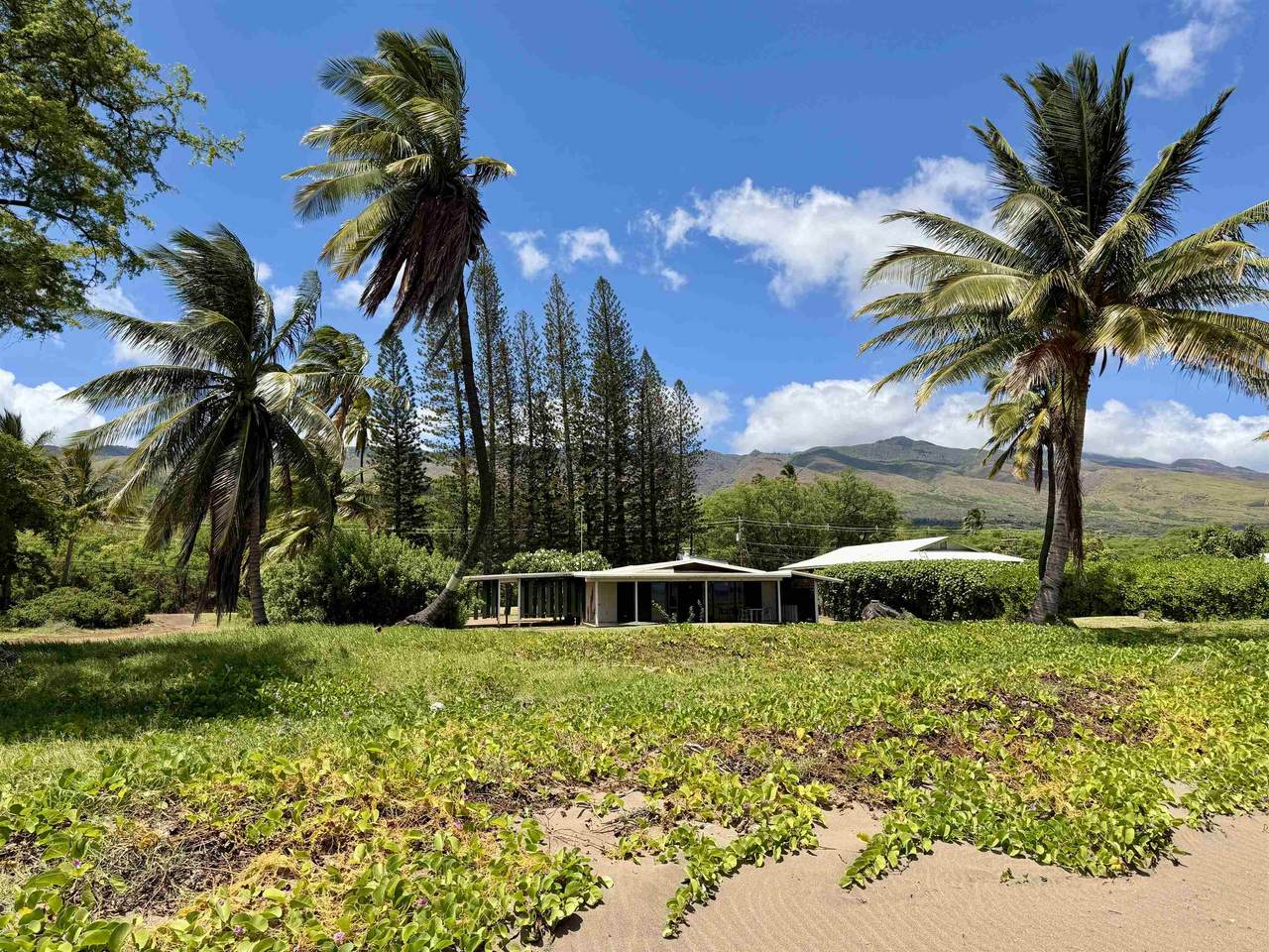 2655 Kamehameha V Hwy - Photo 1