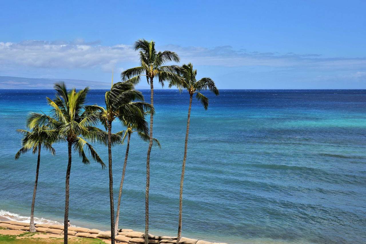 4365 Lower Honoapiilani Rd - Photo 1