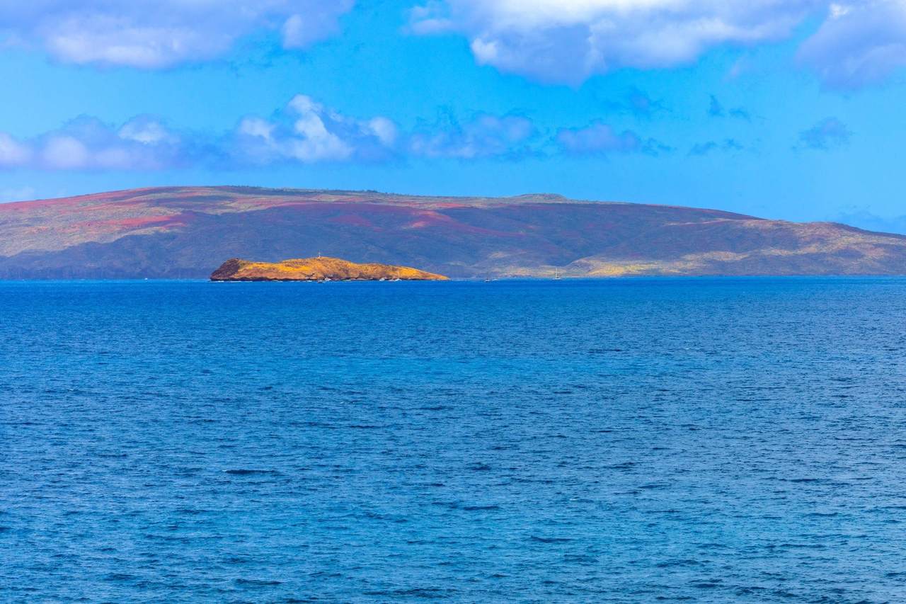 https://bt-photos.global.ssl.fastly.net/maui/1280_boomver_1_410129-2.jpg