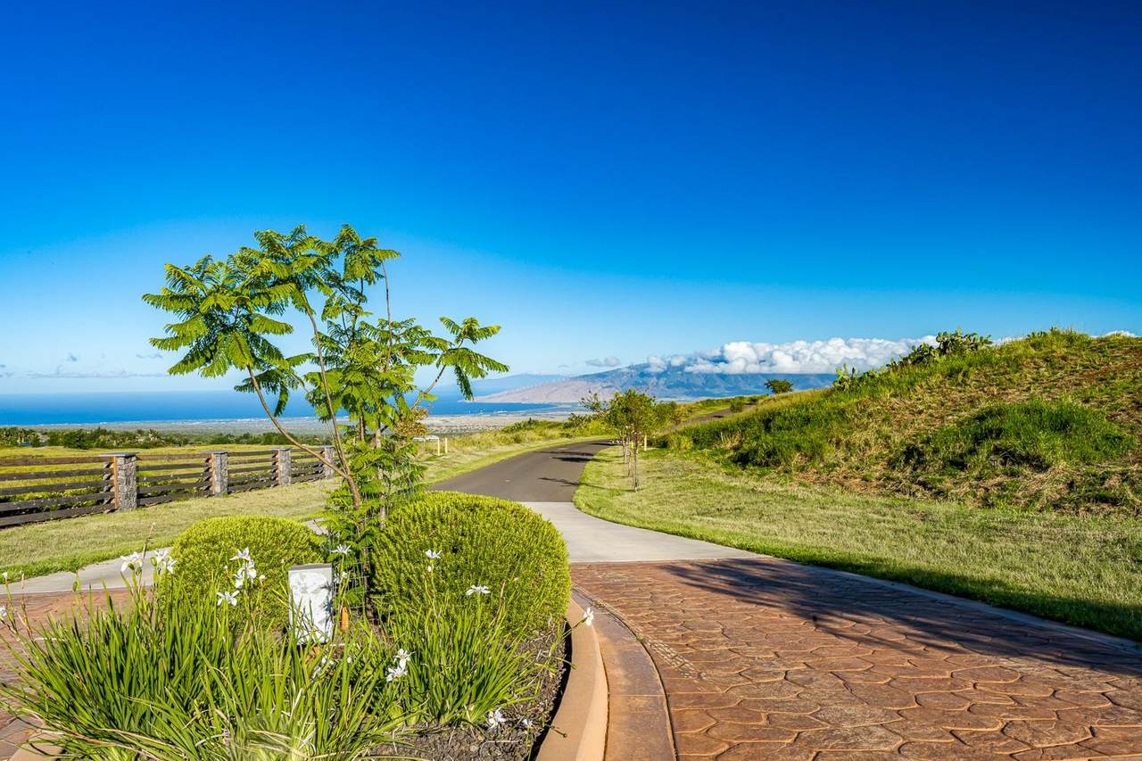 https://bt-photos.global.ssl.fastly.net/maui/1280_boomver_1_410166-2.jpg