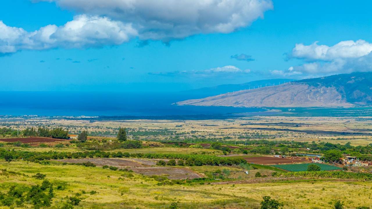 https://bt-photos.global.ssl.fastly.net/maui/1280_boomver_1_410191-2.jpg