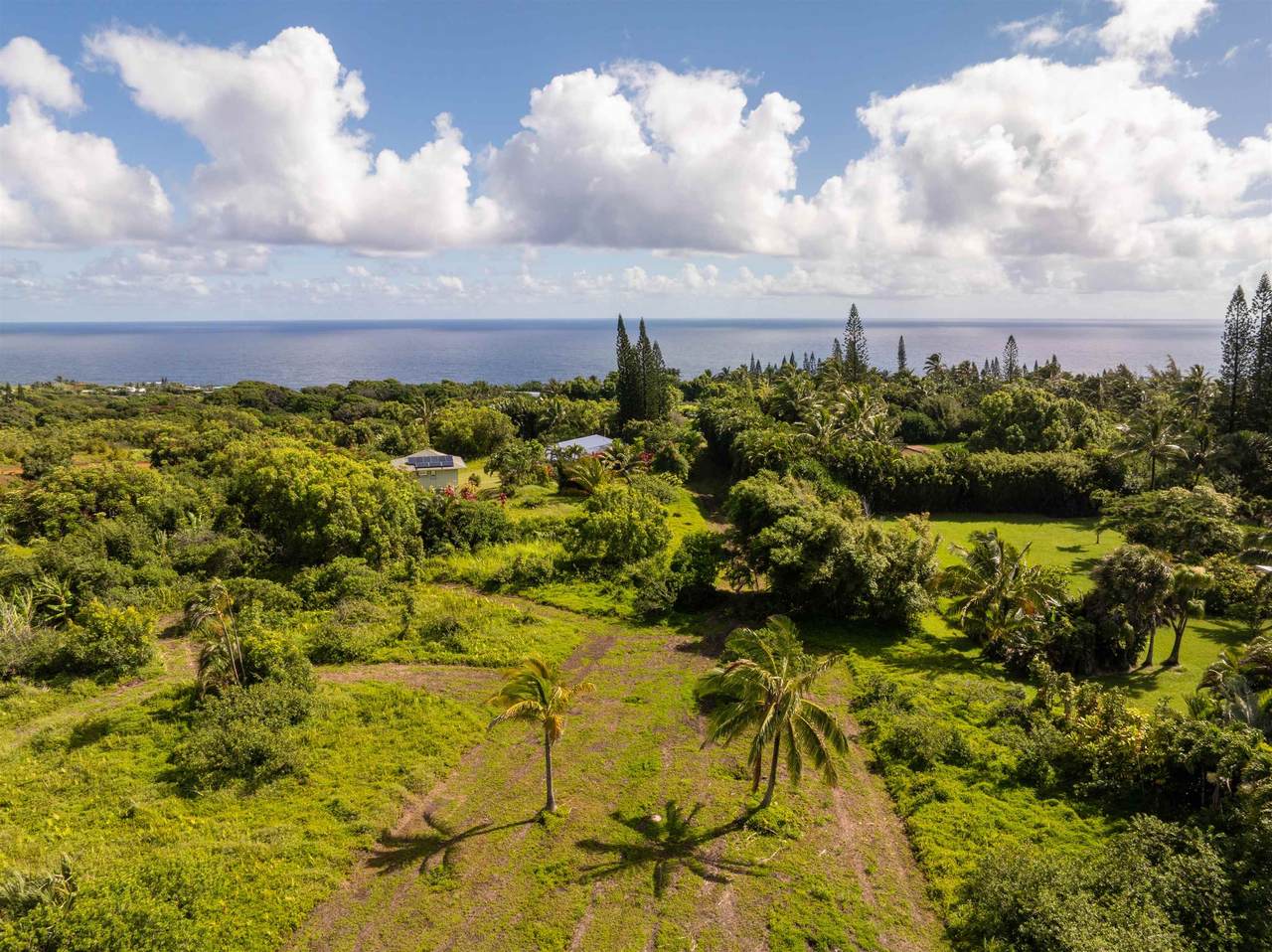 https://bt-photos.global.ssl.fastly.net/maui/1280_boomver_1_410192-2.jpg