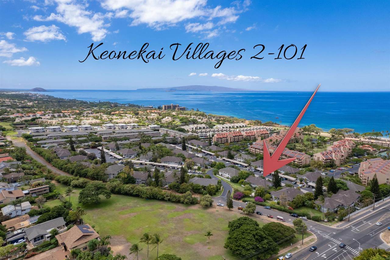 160 Keonekai Rd - Photo 1