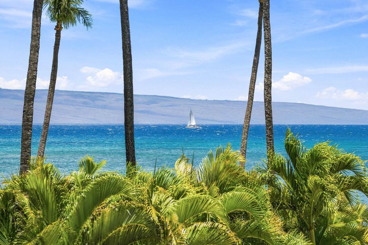 https://bt-photos.global.ssl.fastly.net/maui/1280_boomver_1_410289-2.jpg