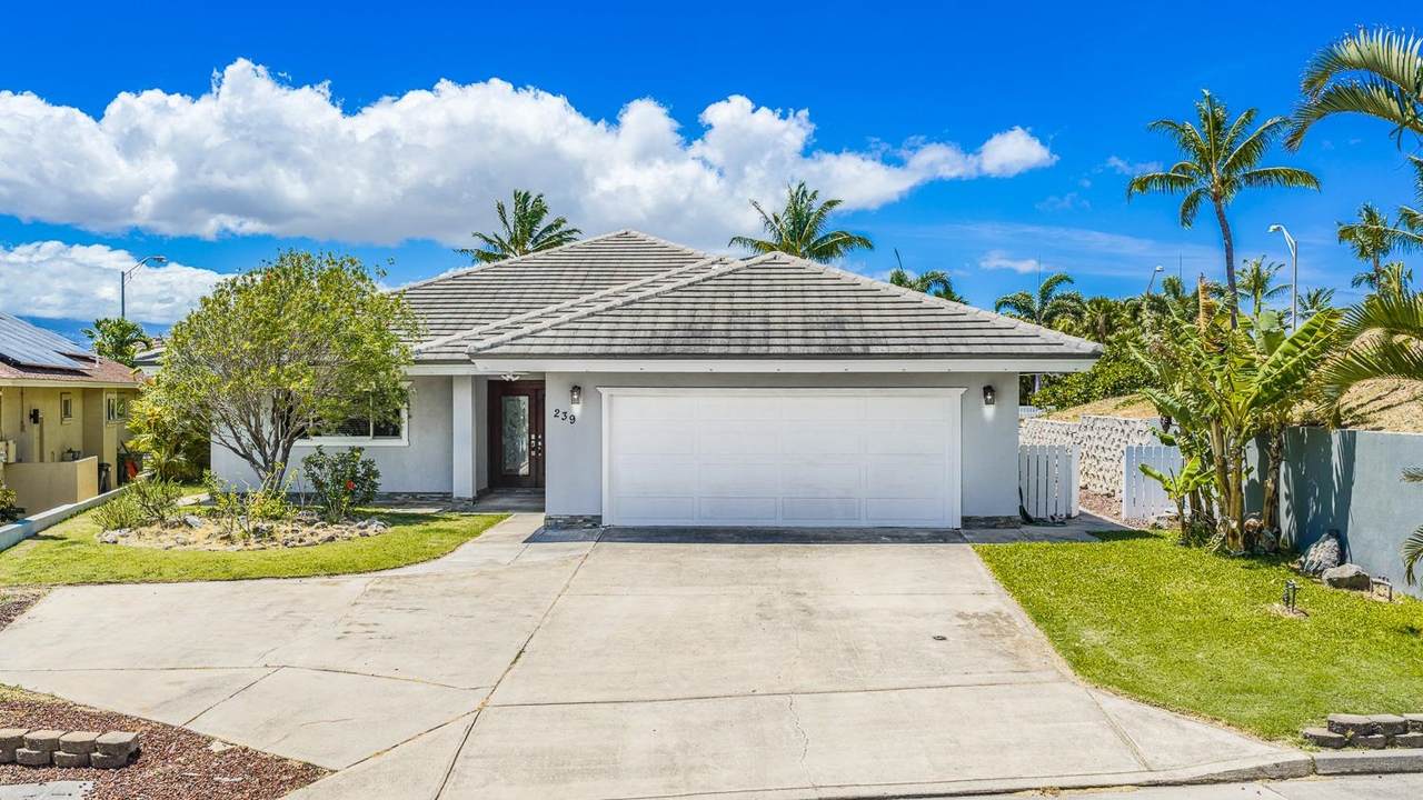 239 Kamalei Cir - Photo 1