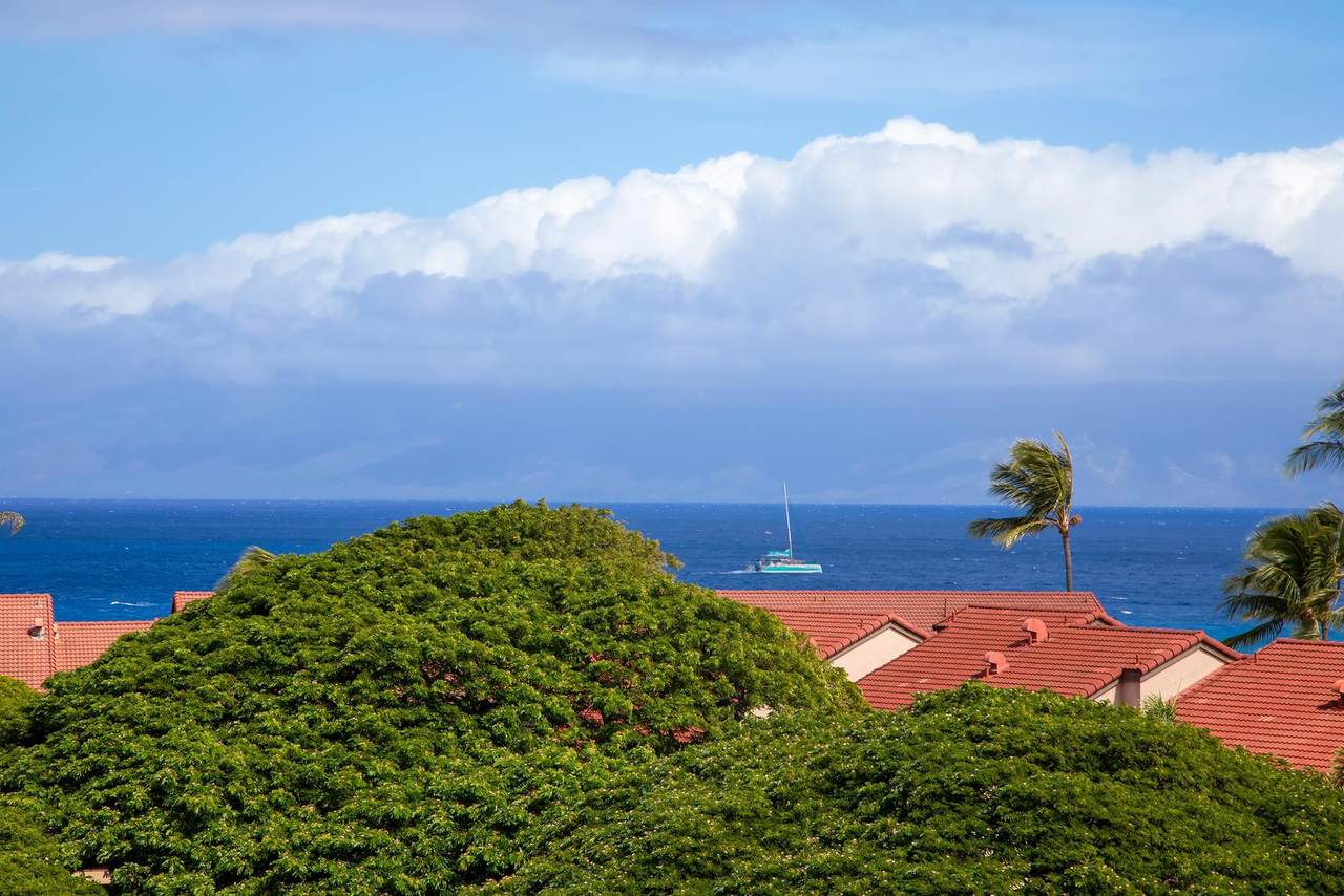 3445 Lower Honoapiilani Rd - Photo 1