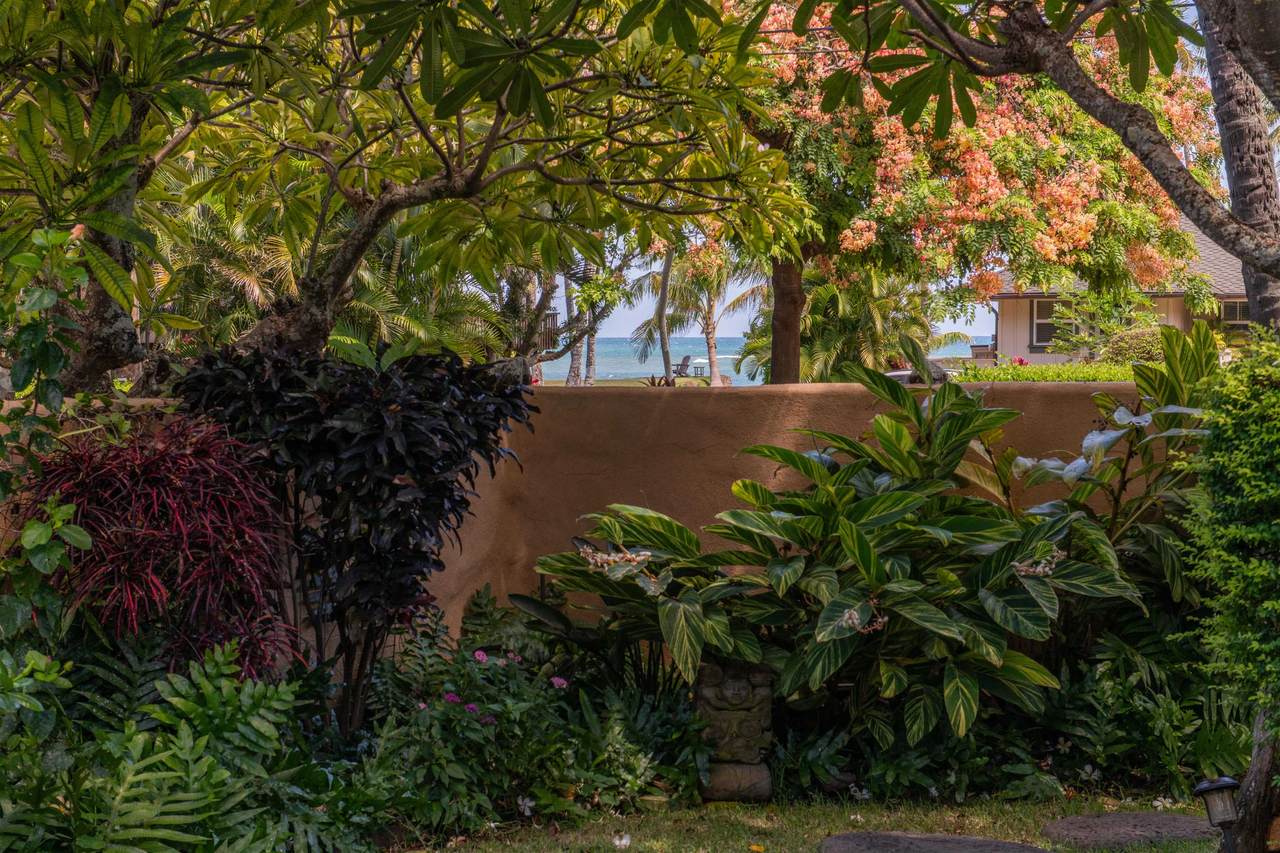 https://bt-photos.global.ssl.fastly.net/maui/1280_boomver_1_410325-2.jpg
